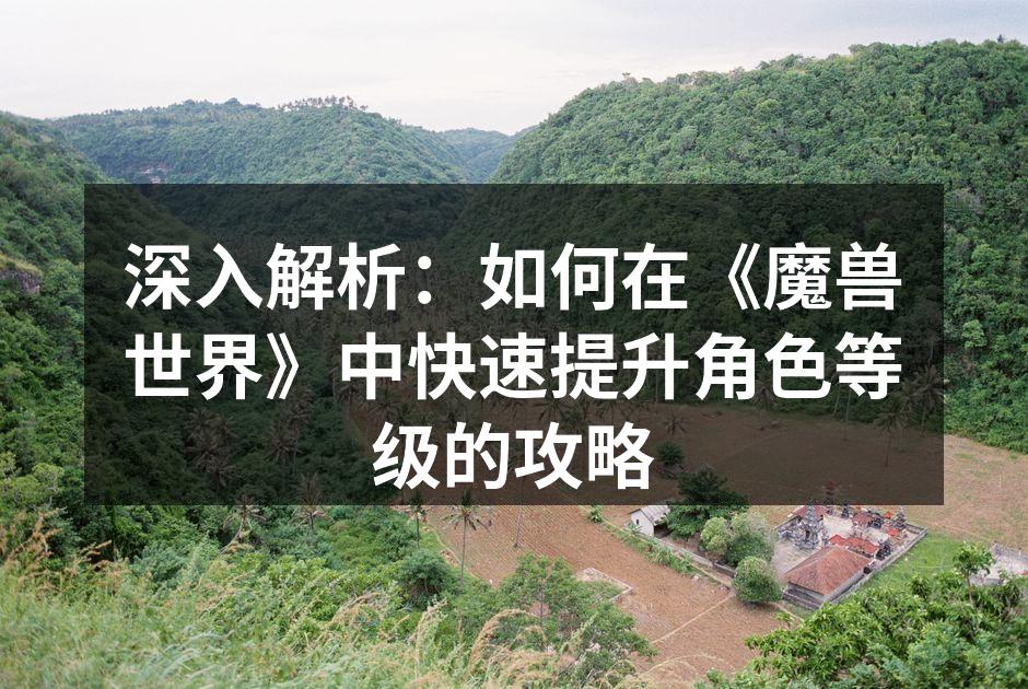 深入解析：如何在《魔兽世界》中快速提升角