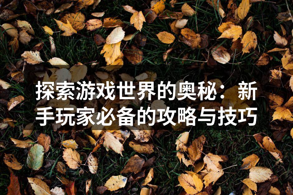探索游戏世界的奥秘：新手玩家必备的攻略与